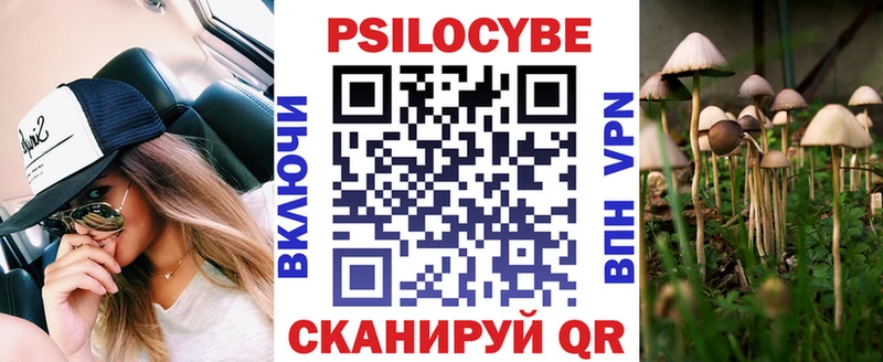 Купить где  Ворсма  Галлюциногенные грибы мицелий 